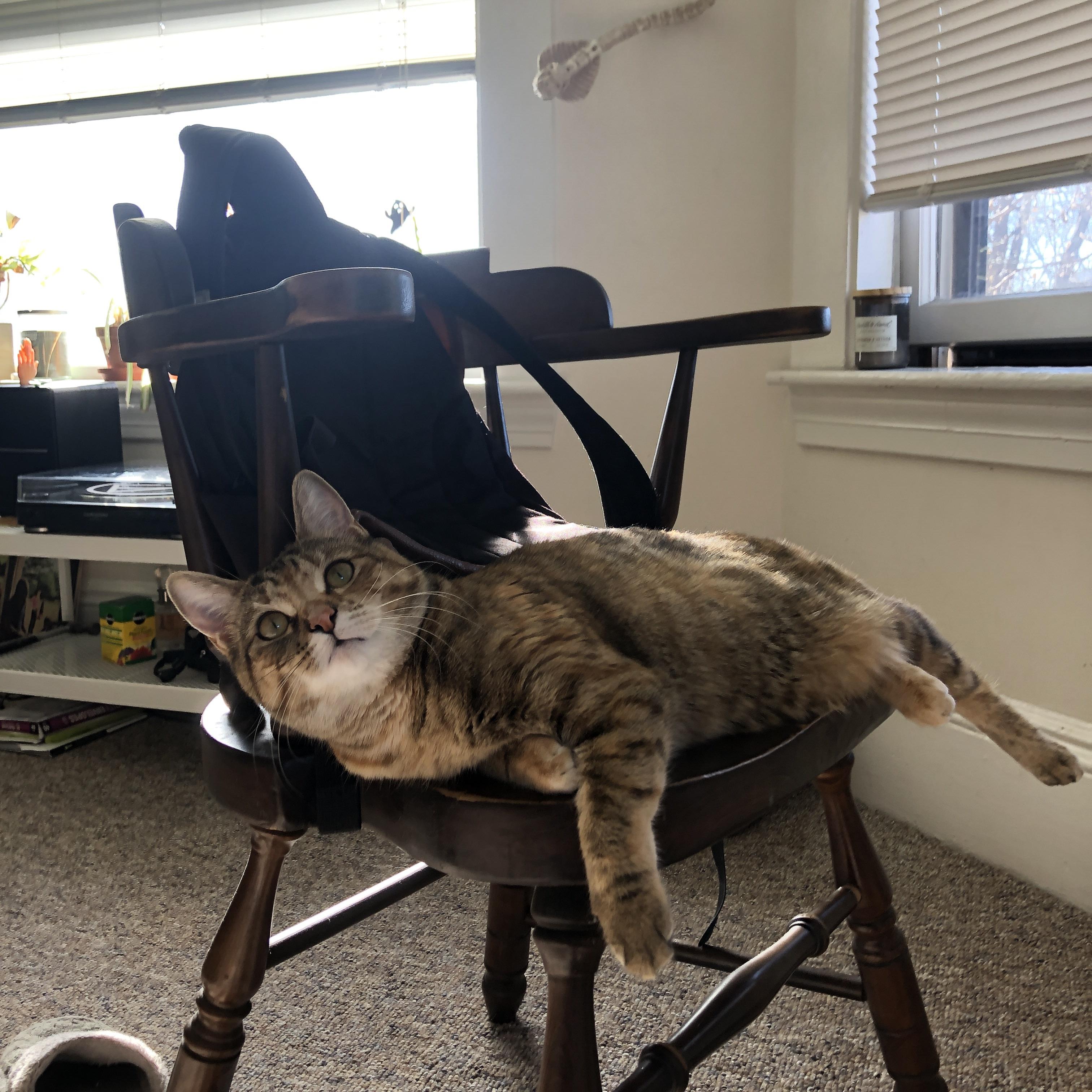 Dota 2 战队教练团队战术创新，dota2教练指导