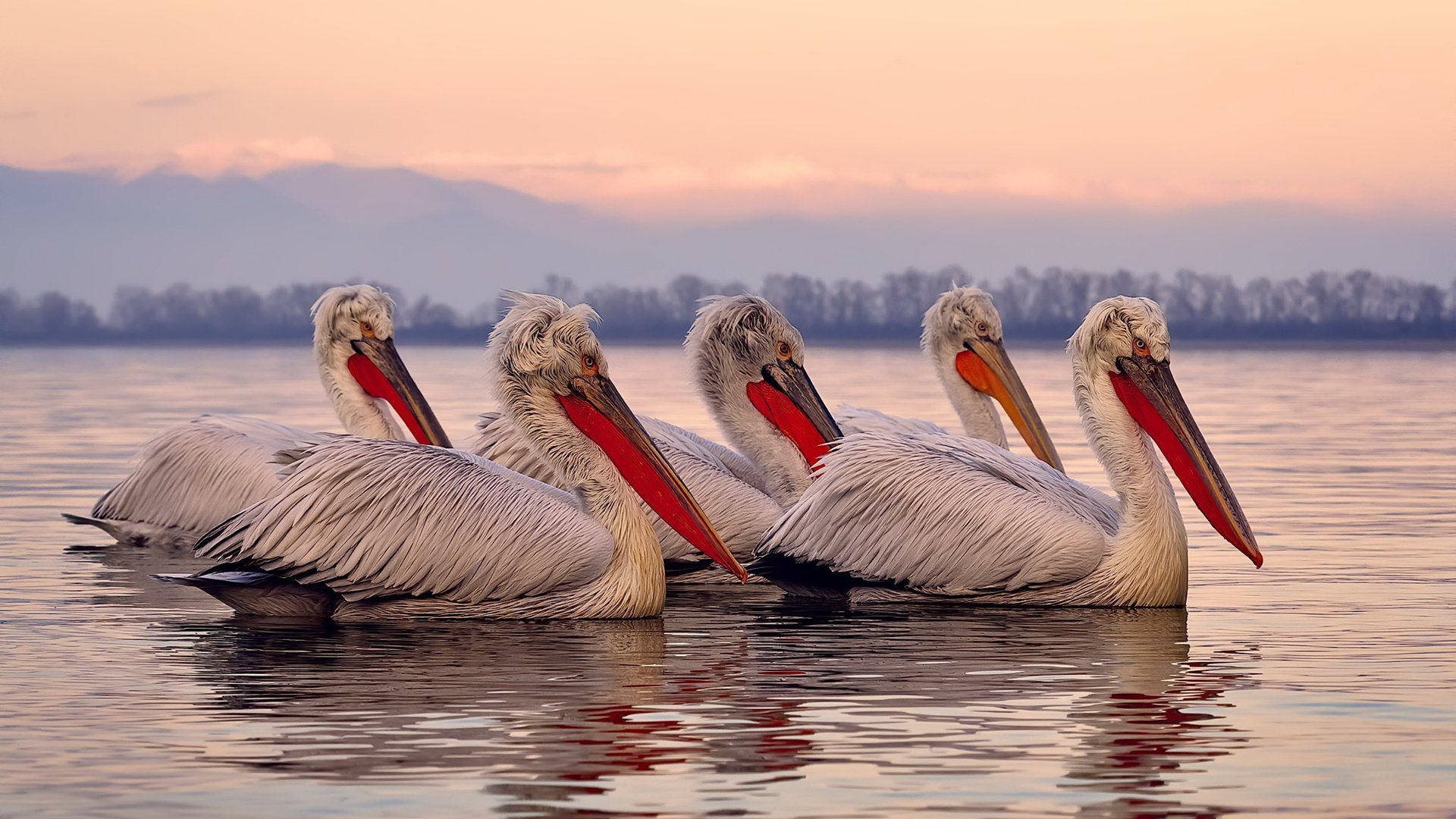 AYX GAMING-CS2 赛事规则优化提升竞技公平，cs2游戏