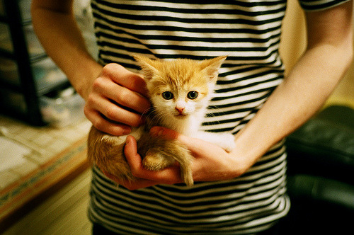 CS2 职业联赛规则调整备受关注,cs的职业联赛