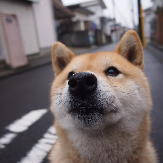 爱游戏app-_乒乓球超级联赛：高手对决，精彩纷呈_，乒乓球超级联盟