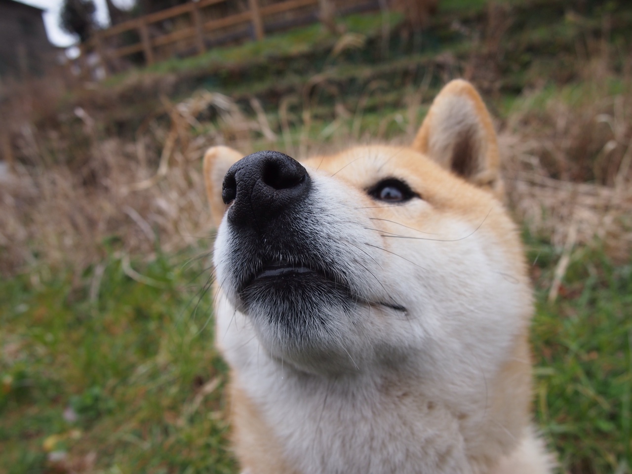 _不断创新的训练设备:未来体育科技趋势_,体育类科技创新