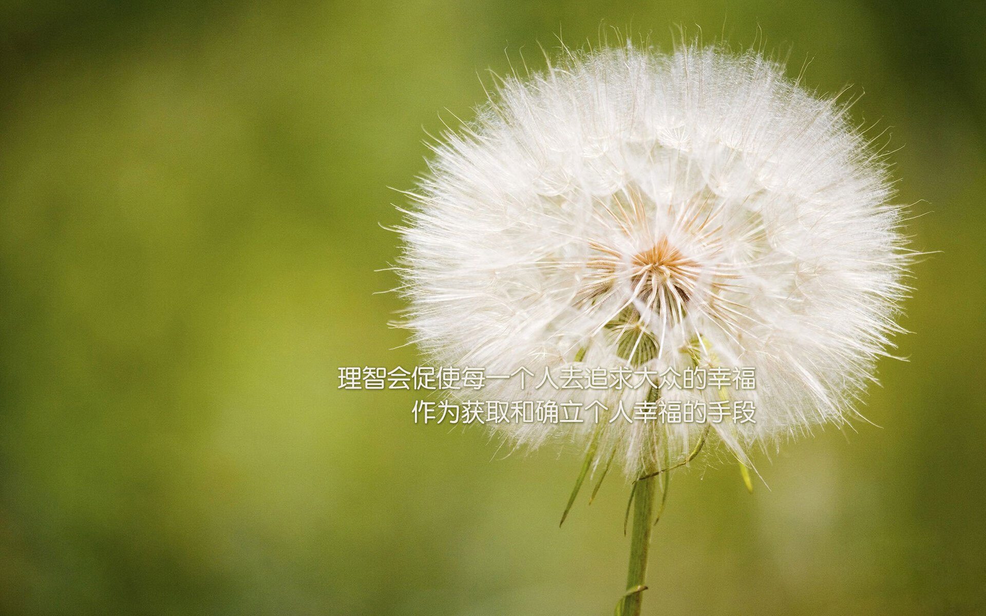 OG·阿努诺比在NBA常规赛中展现防守强度,阿努诺比数据