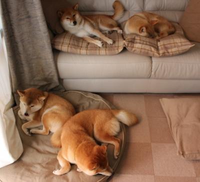 -_勇士投篮手感火热，主场大发威_，nba勇士投球最准的是谁