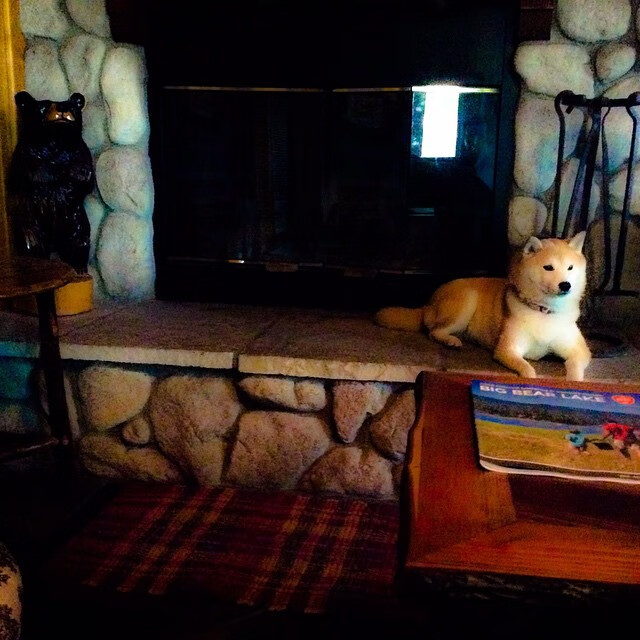 AYX官网-_冰雪奇幻漂移赛：冬季运动新宠_，冰雪漂流