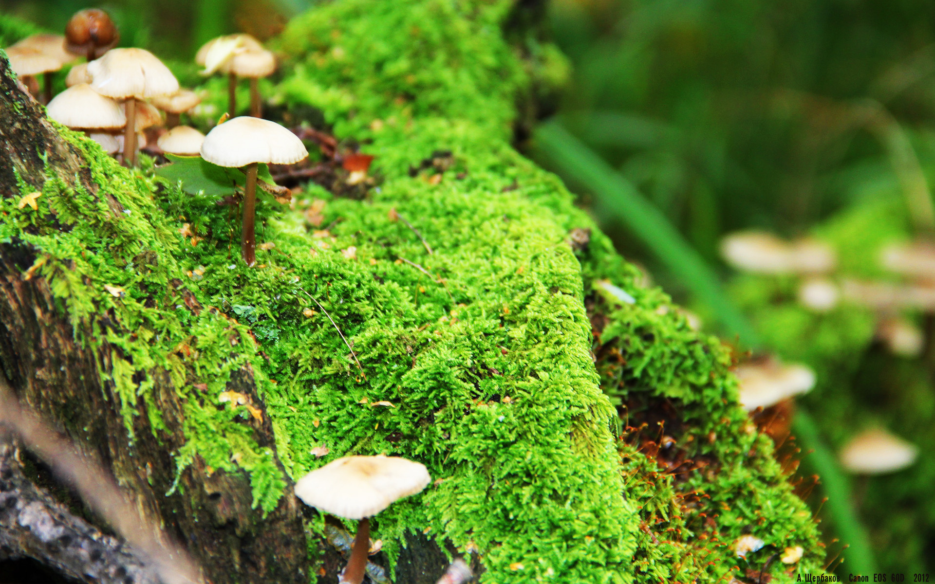 爱游戏综合娱乐-_沙滩跑步比赛吸引大量跑者参与_，沙滩跑步需要注意什么