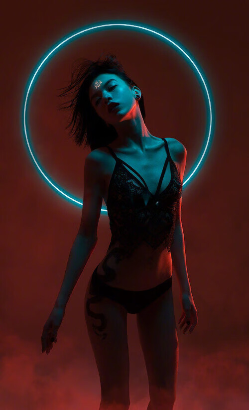 【粉丝专区】投票、评论和打榜活动不断，粉丝活跃榜投票