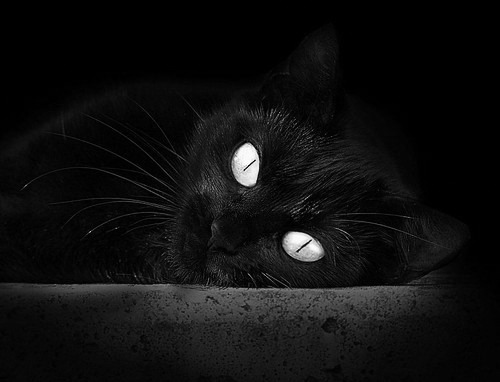 未来联盟：虚拟场景与直播互动开辟新蓝海，未来lol