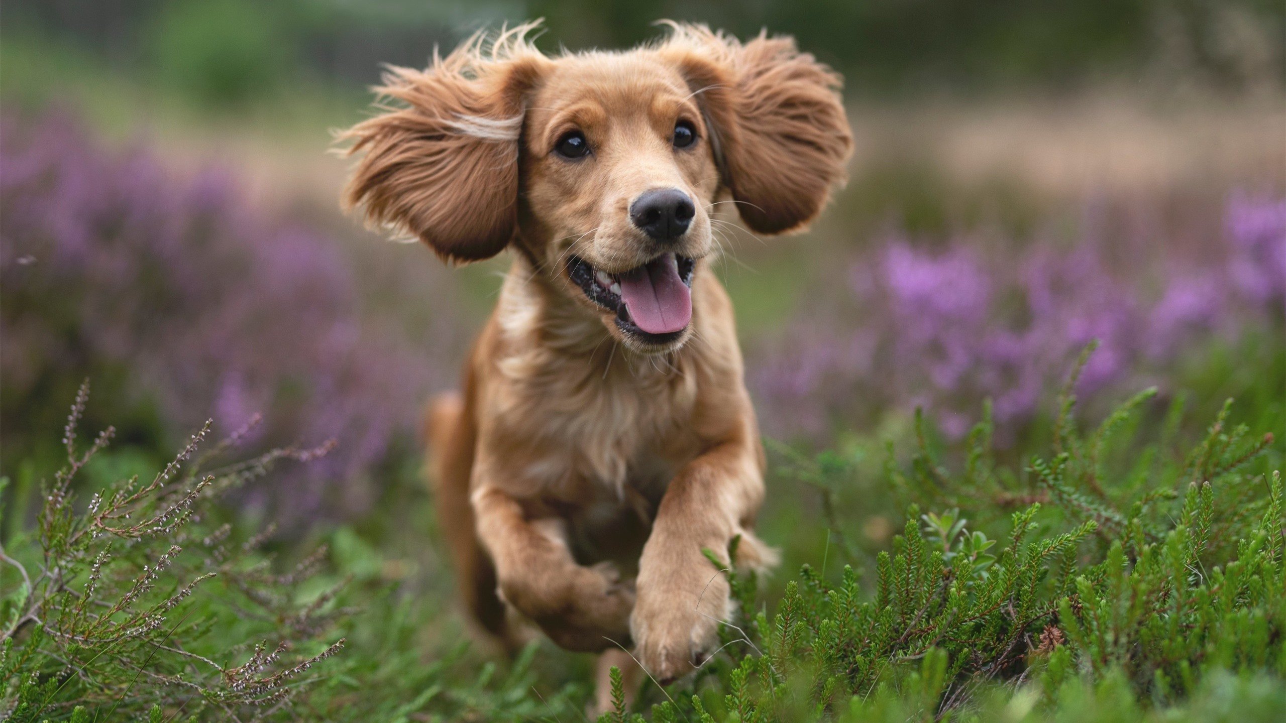 爱游戏娱乐平台-球迷自创：最具想象力的球队应援方式，篮球个人应援口号
