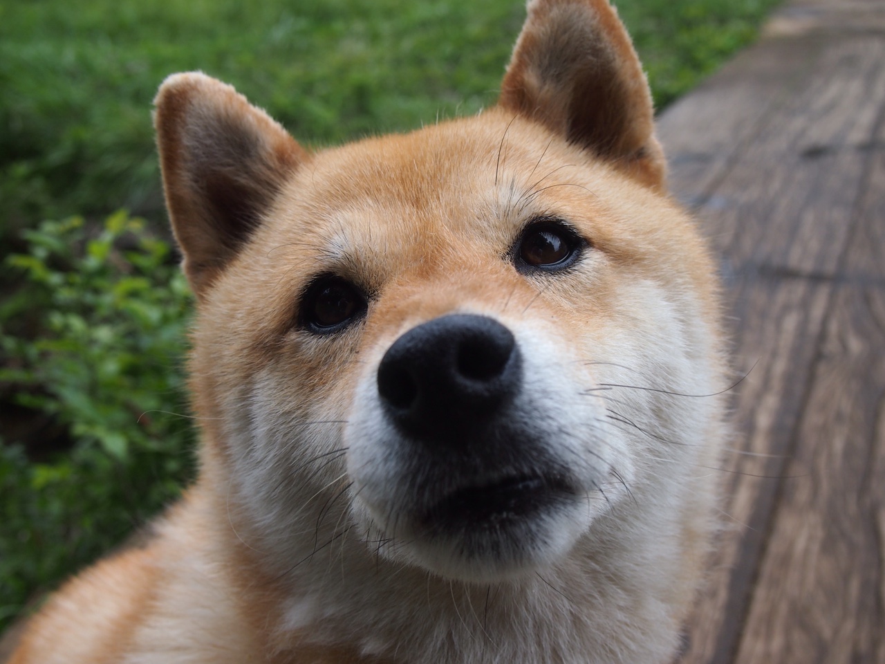 虚拟试驾:未来科技带来的新玩法,汽车虚拟试验