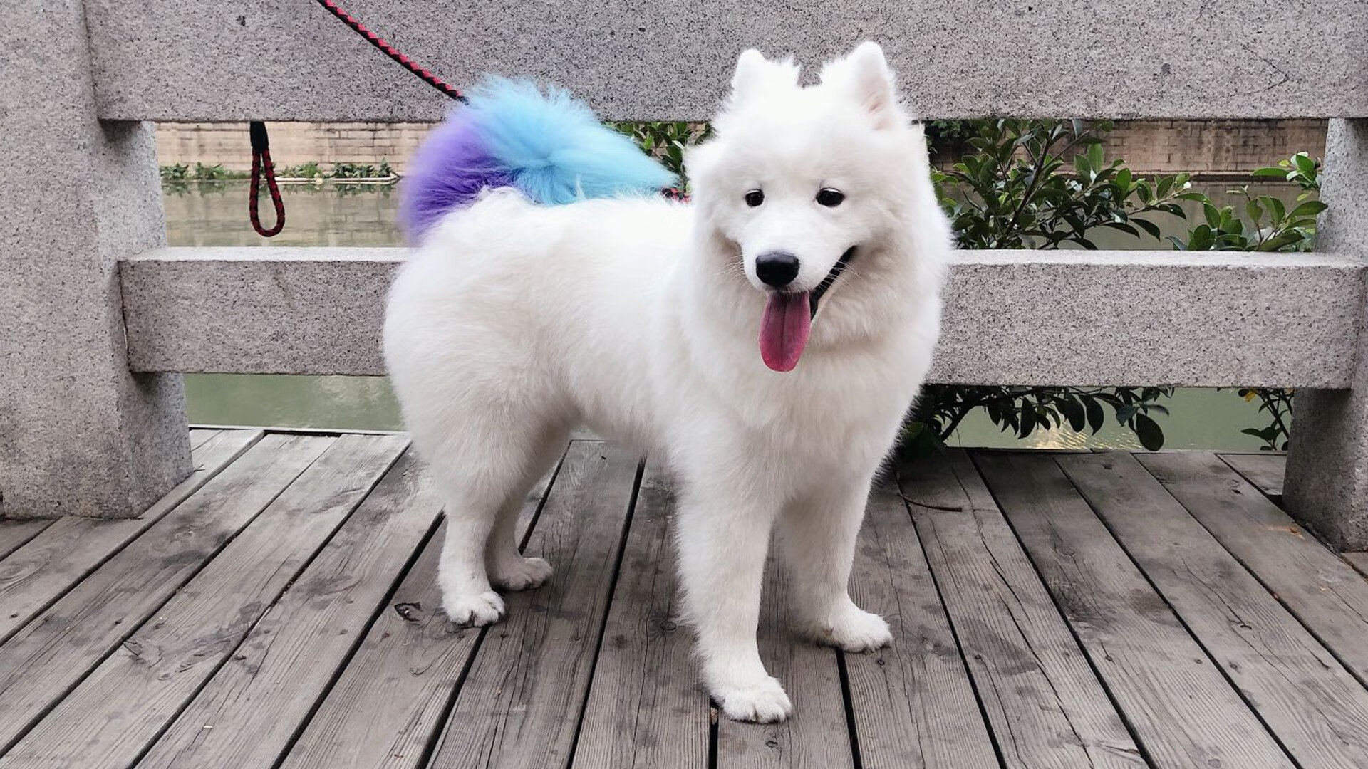 Berserker完美收官团战