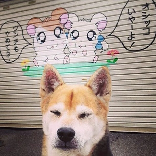 CS_GO北美教练战术解读热度上升,北美教练驾车视频