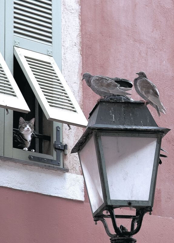 AYX体育官网-国足是否应加强与亚洲强队的交流合作，国足在亚洲还能赢谁