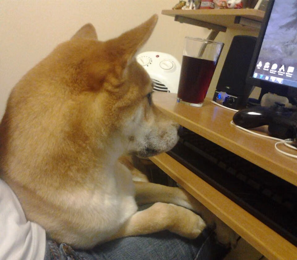 爱游戏登录入口-富勒姆客场遭埃弗顿逆转，球队暂时排名垫底，重返英超仍任重道远