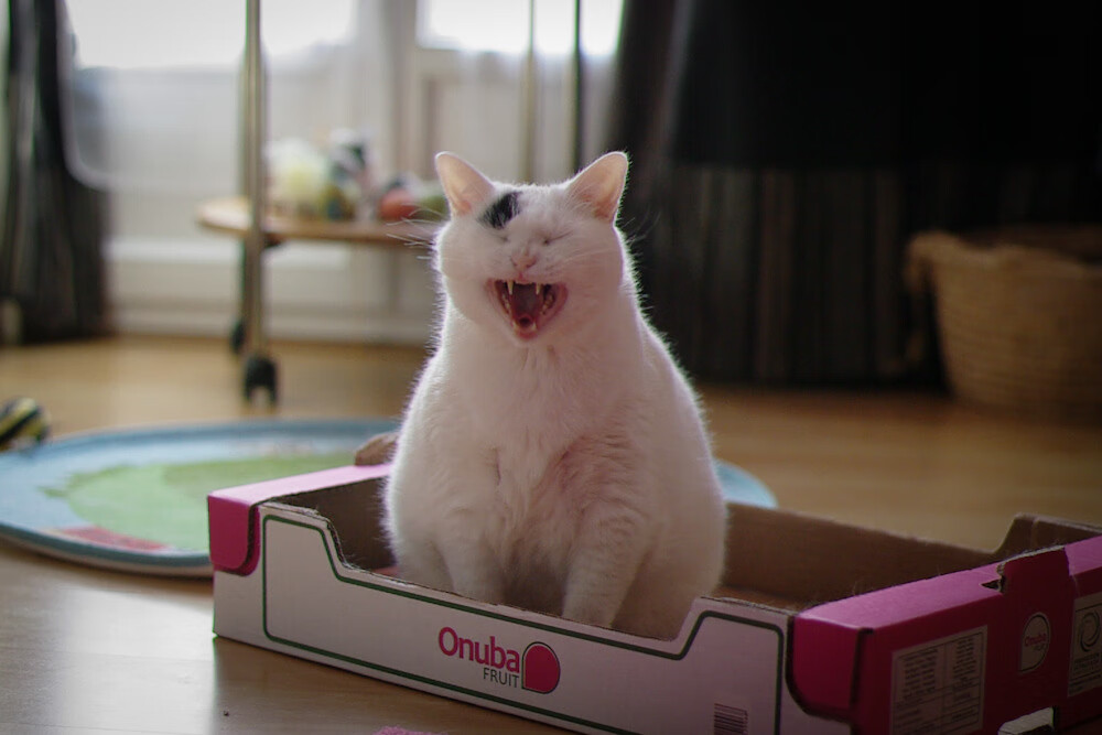 快船轮换阵容稳定击溃尼克斯，快船尼克斯录像回放