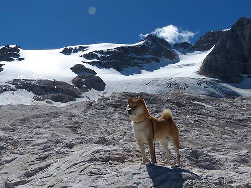 波尔图新援加盟，波尔图队