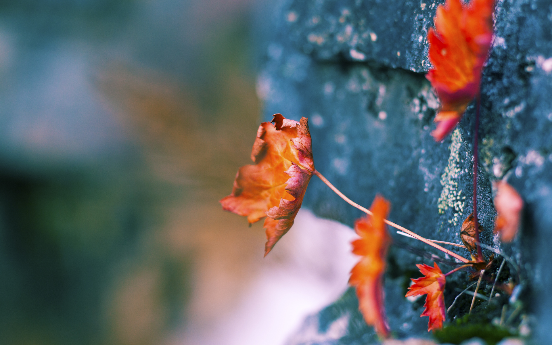 爱游戏体育APP下载-浙江广厦多点开花攻势凌厉，浙江广厦全名