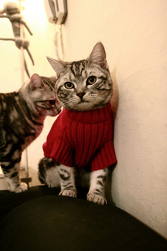 活塞重建阵容初见成效主场告捷，活塞现在的阵容