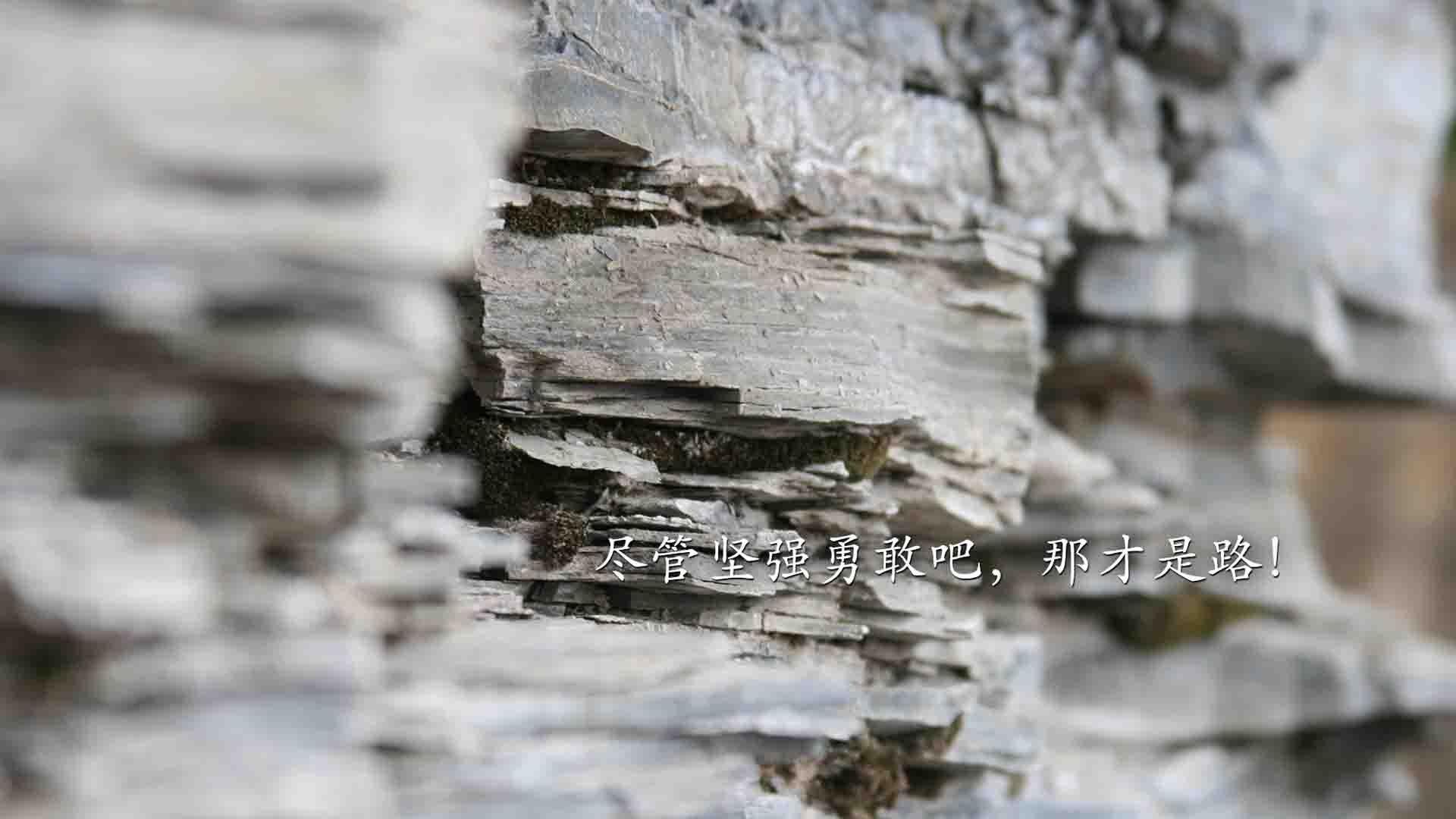 爱游戏中国官方登录入口网站-篮球运动员技术创新与发展研究，篮球运动员技术创新与发展研究方向