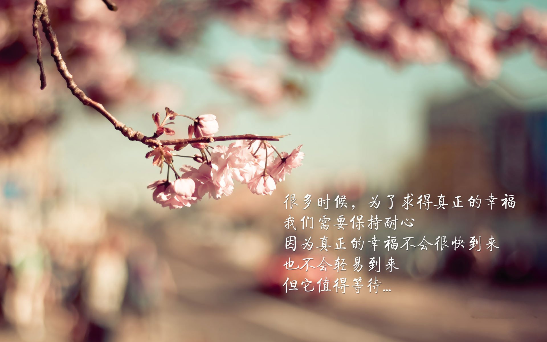 爱游戏官网-精彩网球女子决赛对抗焦点分析，网球女双决胜盘