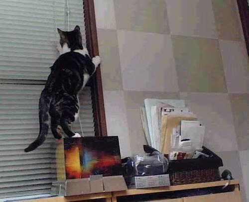 爱游戏中国官方登录入口网站-红军在对阵伯恩茅斯的比赛中零封对手，红军在对阵伯恩茅斯的比赛中零封对手是谁