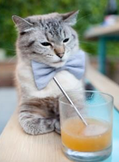 红军在对阵伯恩茅斯的比赛中零封对手，红军在对阵伯恩茅斯的比赛中零封对手是谁