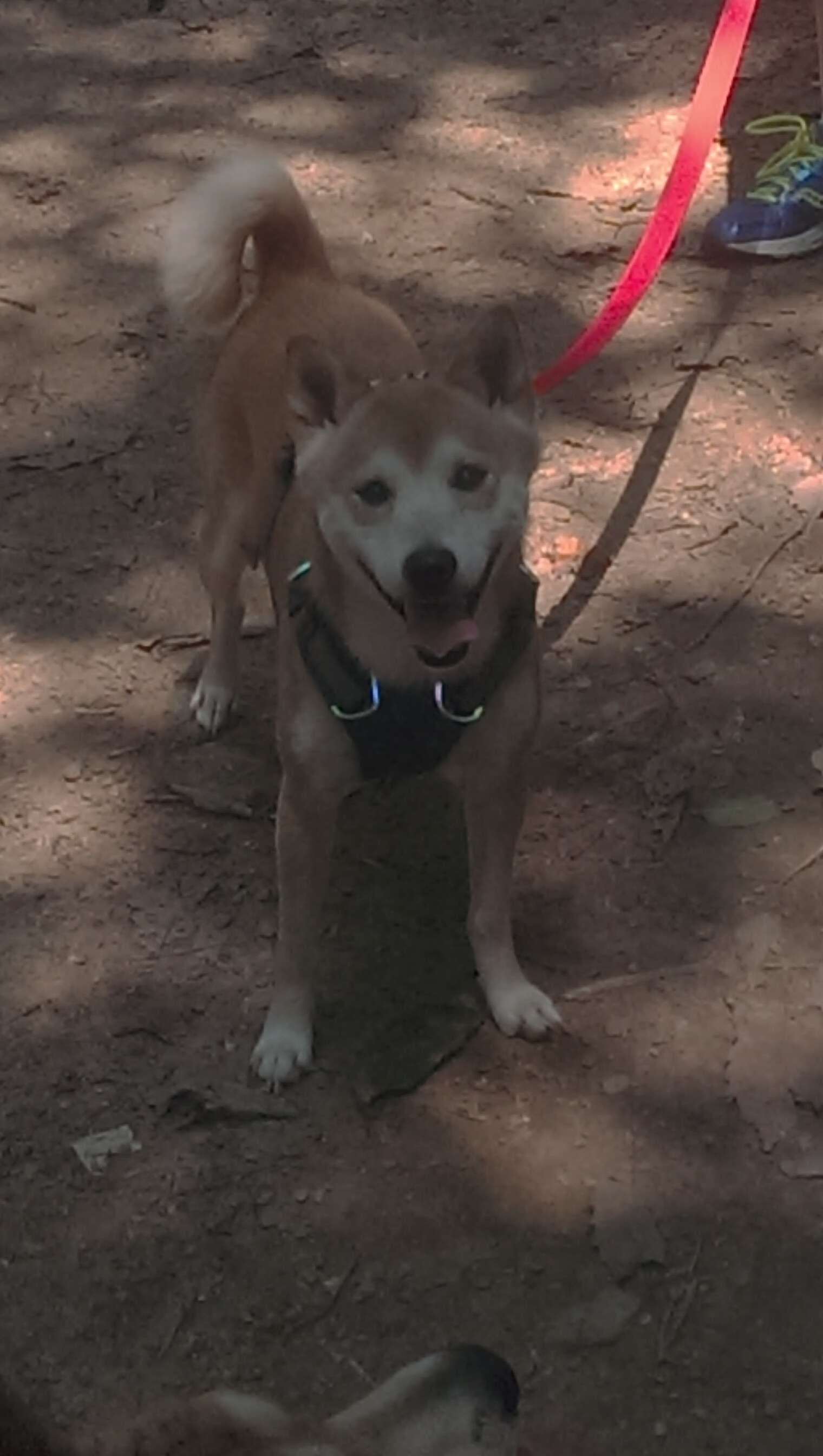 赫塔菲遭遇困境，被对手逆转失败，赫塔菲百度百科