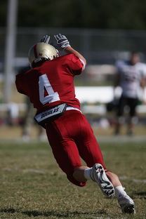 爱游戏app下载-五大联赛的魅力：不同国家球队的差异化风格，5大联赛球队综合实力排名