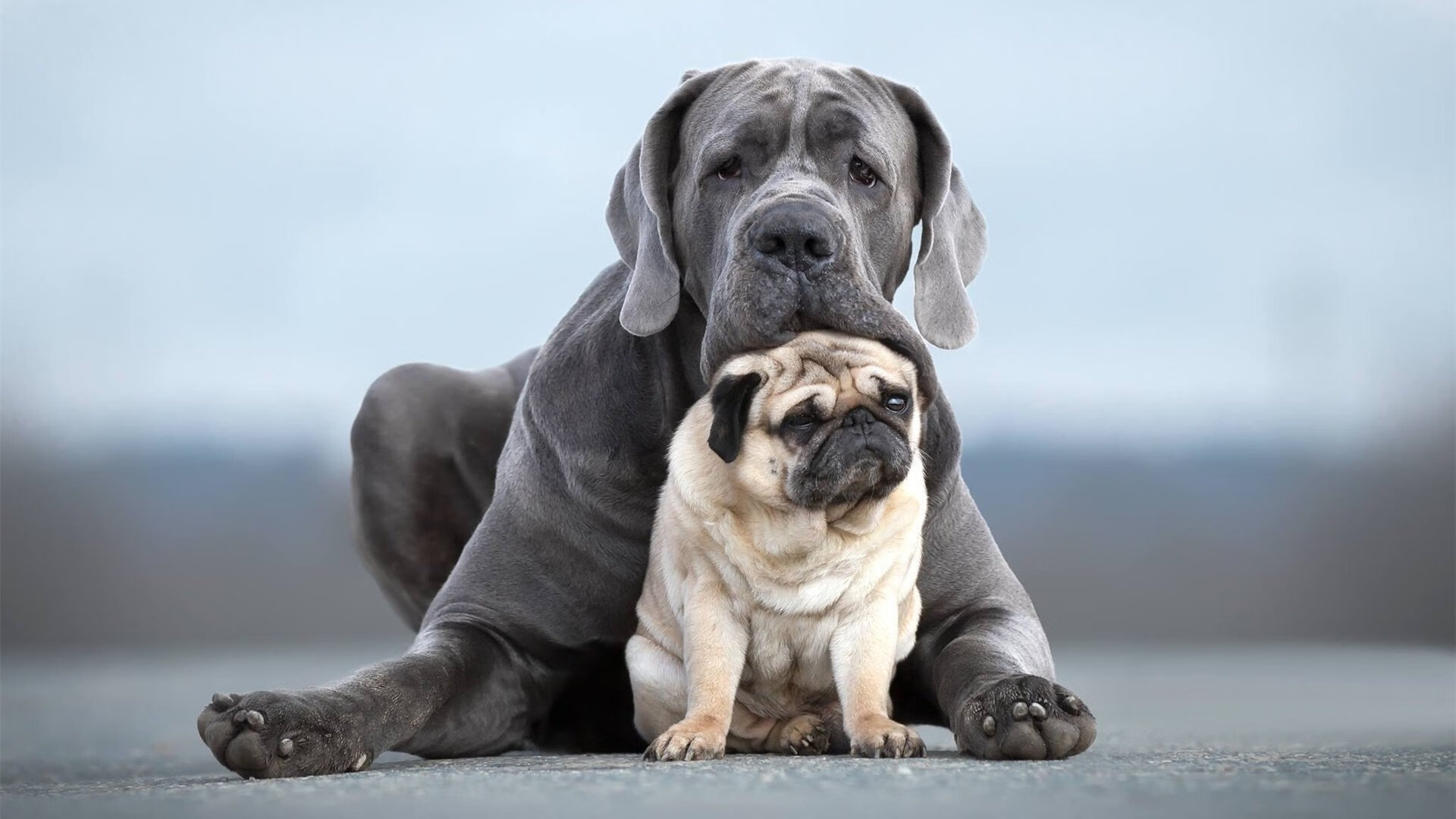 国足阵地战进攻节奏调控能力对比，国足比赛规律
