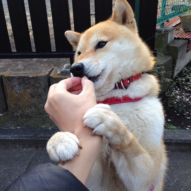 全国青少年长跑锦标赛在成都成功举办,2020年全国青少年锦标赛规程