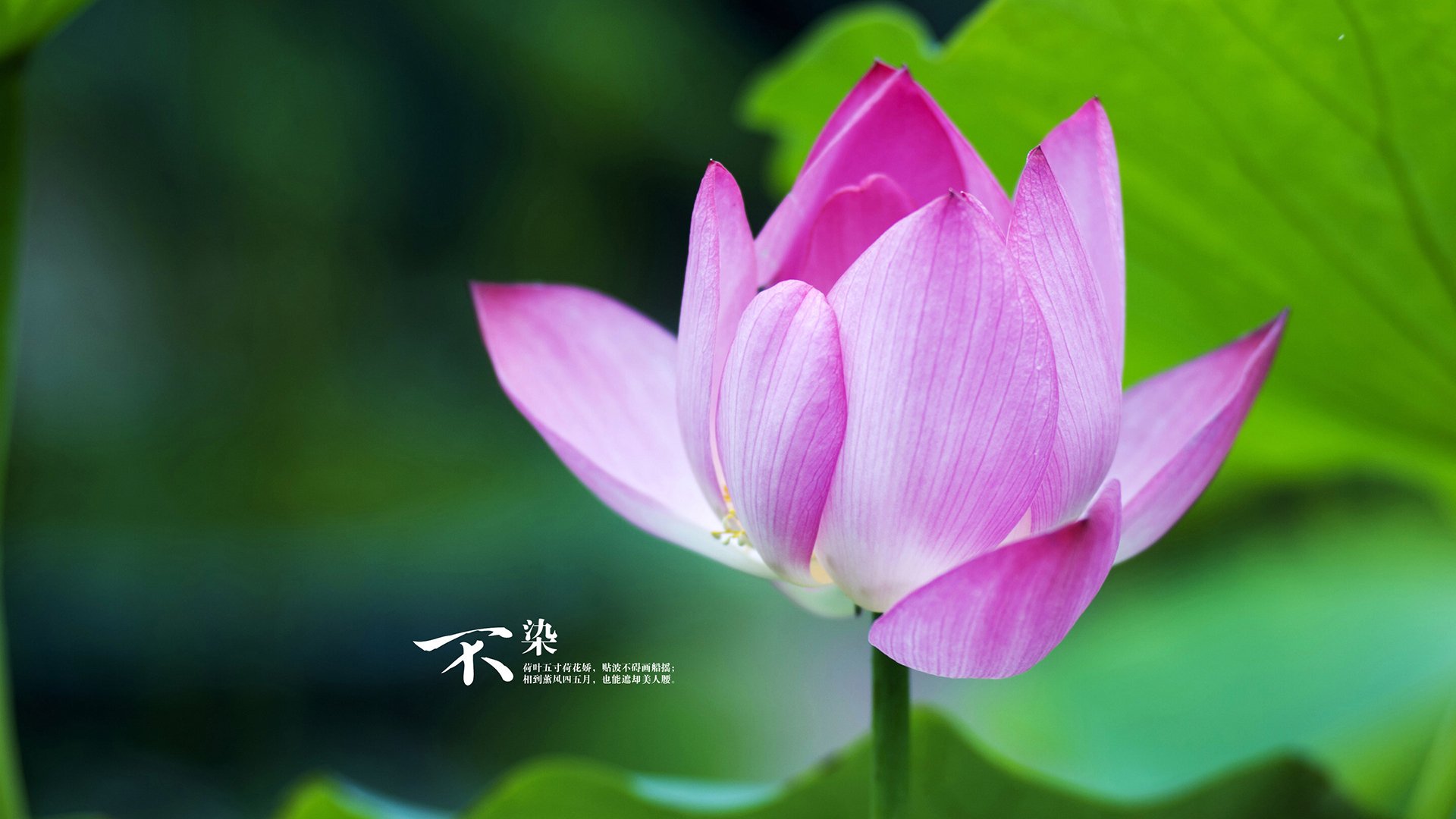 马拉松赛事组织更加规范,马拉松比赛组织