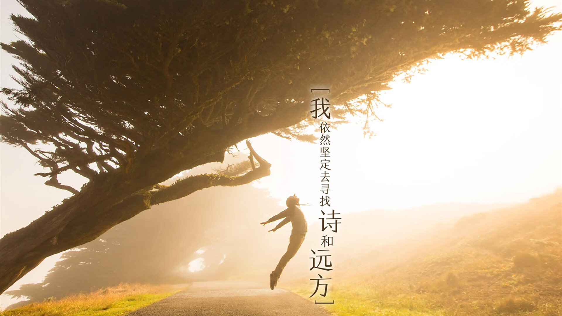 爱游戏-皮特·斯图斯的防守表现堪称世界顶级，帮助南非队守住领先优势